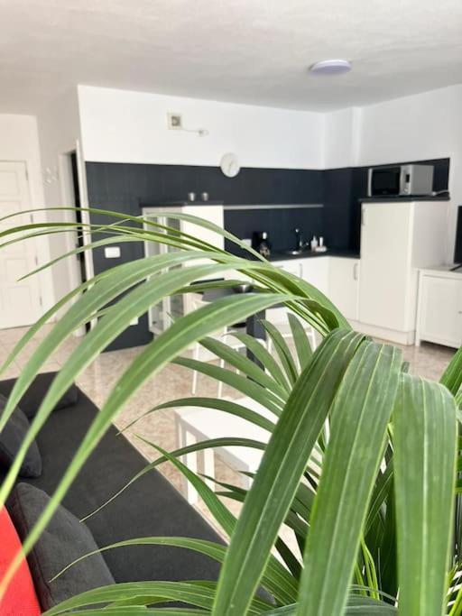 Heyhome Lynn 306 Los Cristianos  Exterior foto